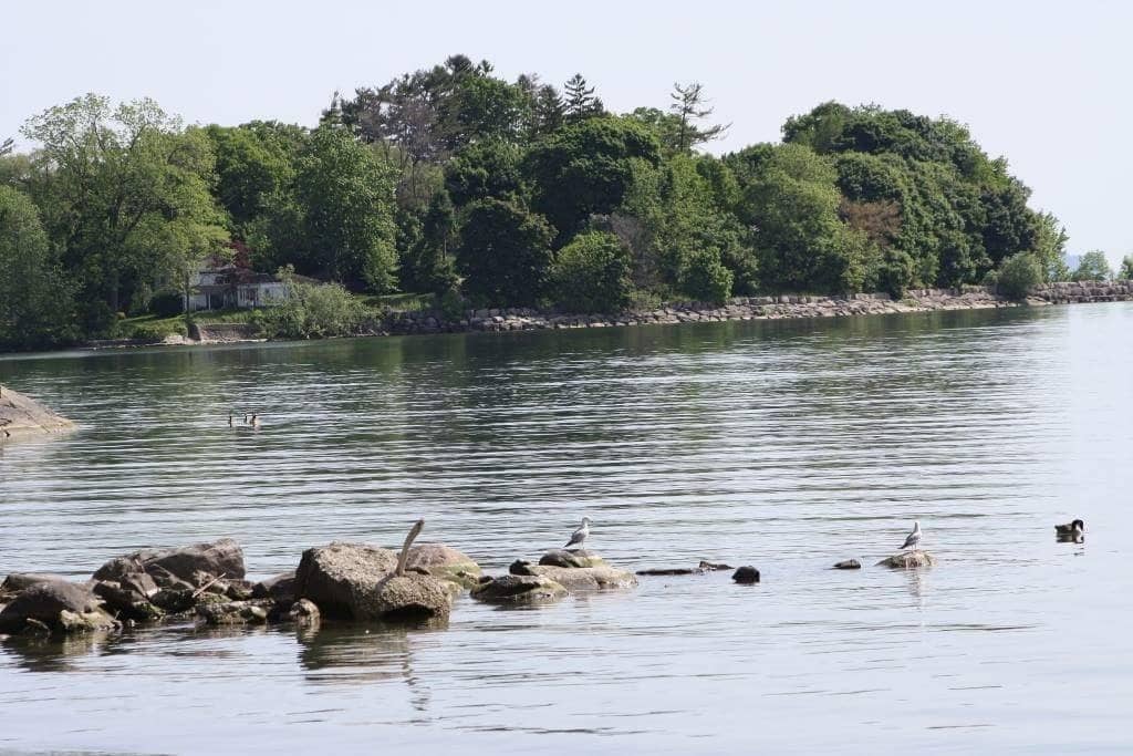 Picnic & BBQ Spots