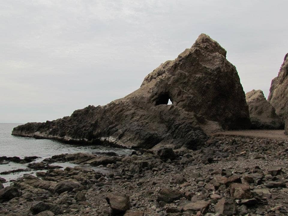 Vertical photo