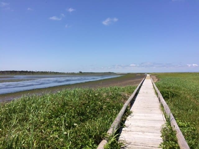 Akkeshi Waterfowl Observation Center