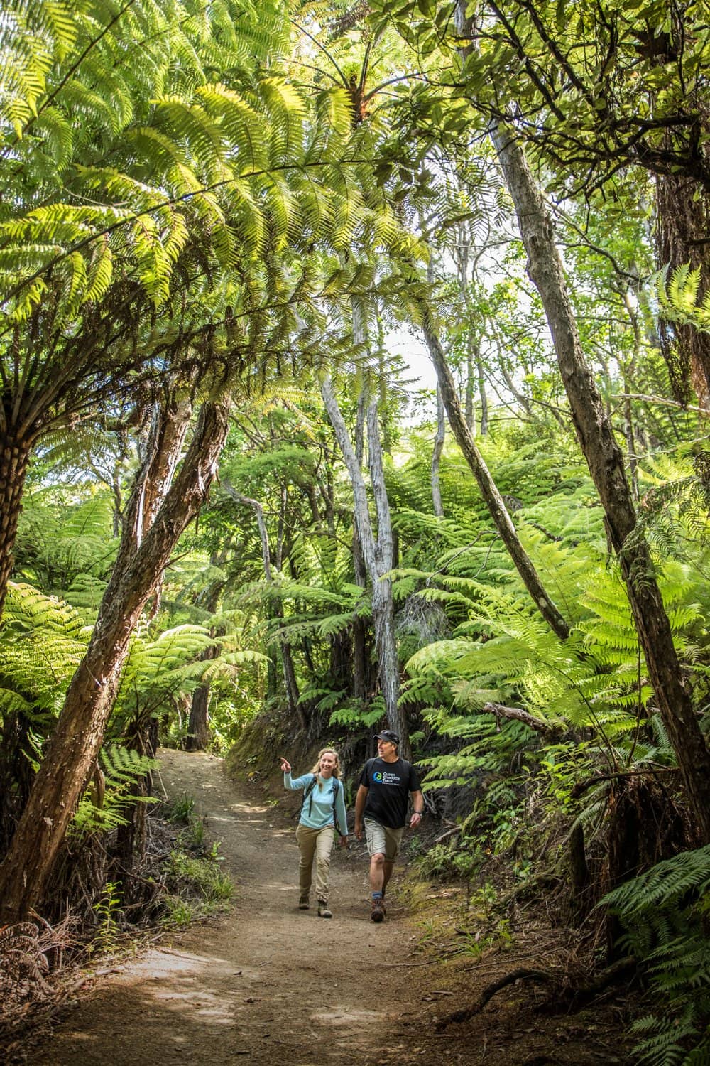 Native Bush and Wildlife