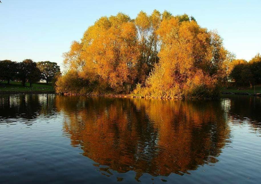 Sandall Park