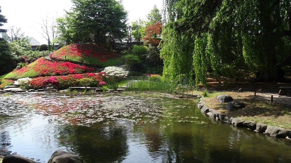 English and French Gardens