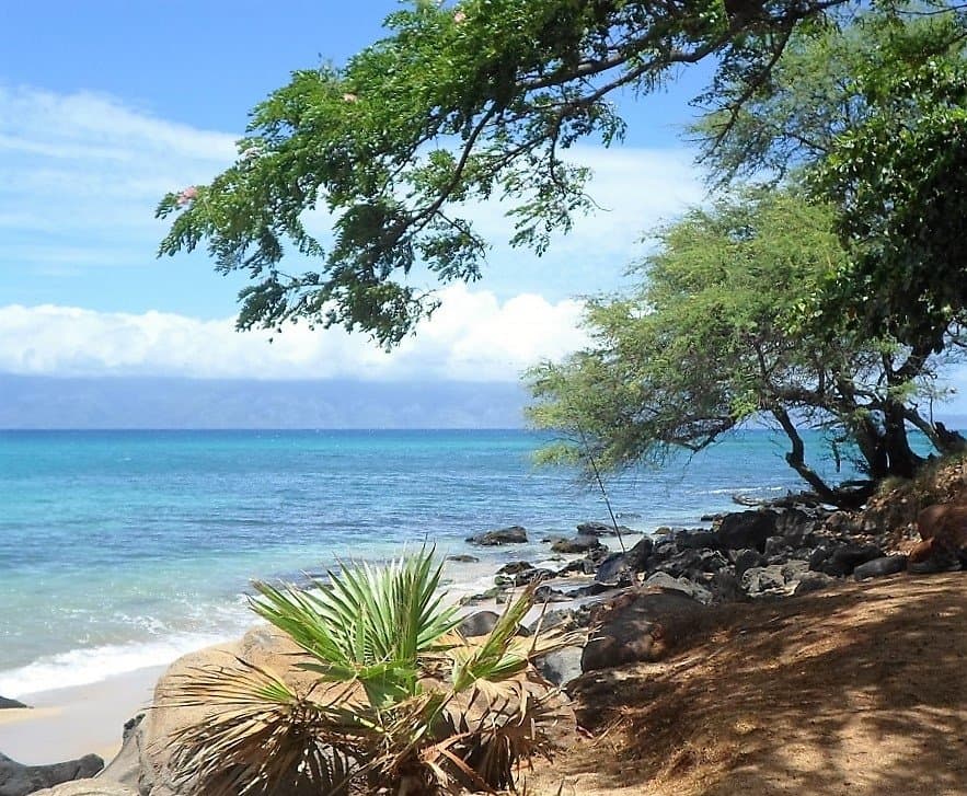 Small and ungrowded beach at PoHaku Park, West Maui.