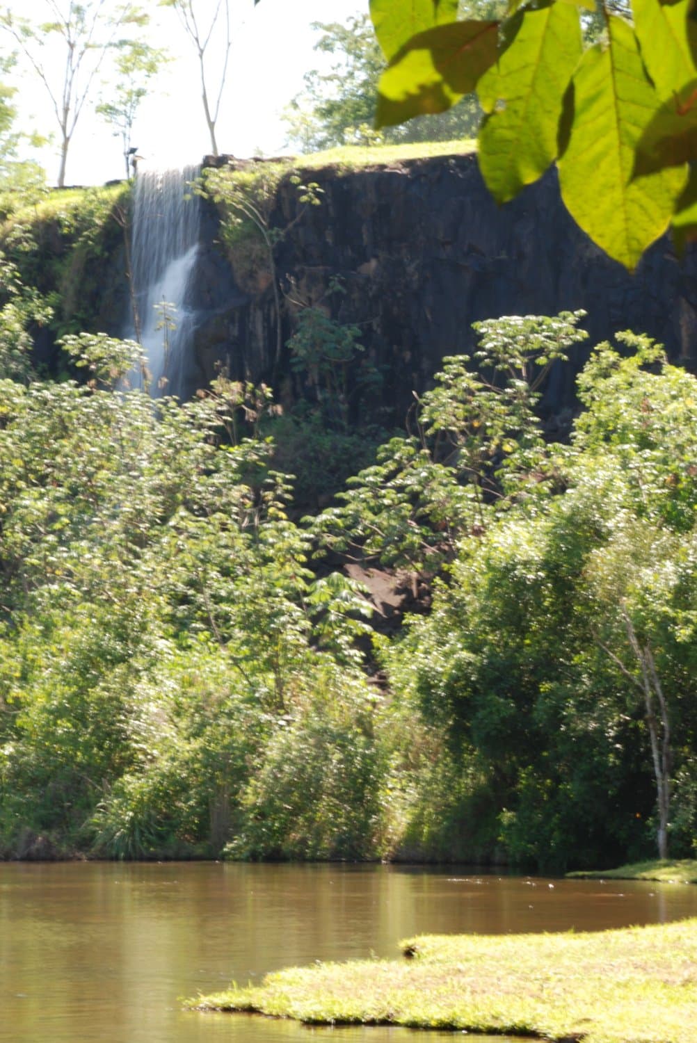 Agua e bastante verde