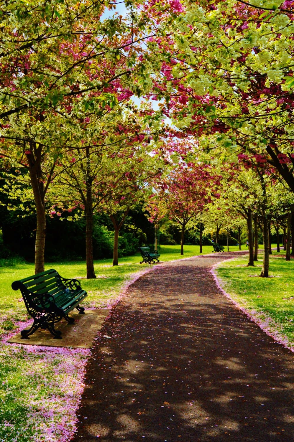 Herbert Park