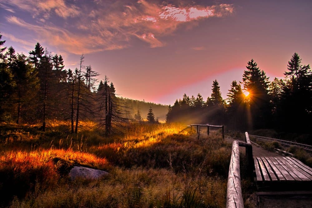 Parc National Harz (photo par Christian Wiesel)