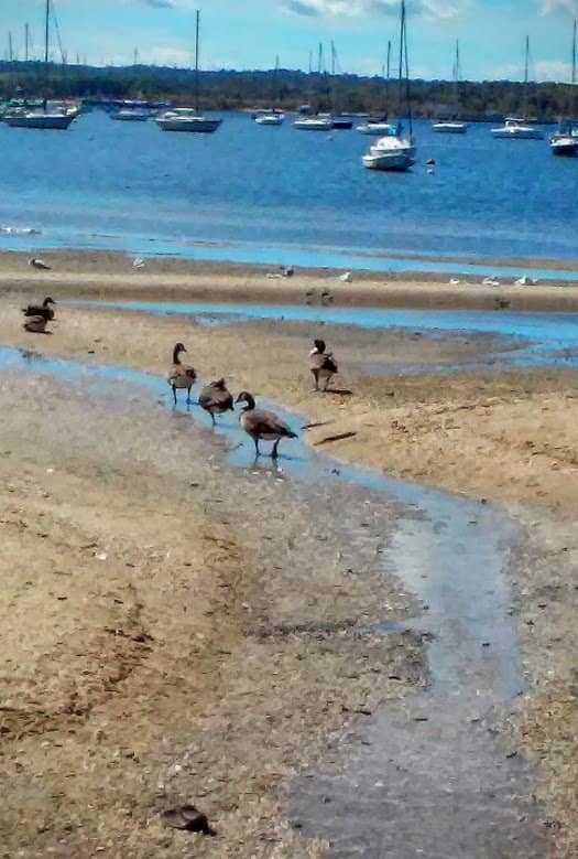 Spirit Lake Trailhead