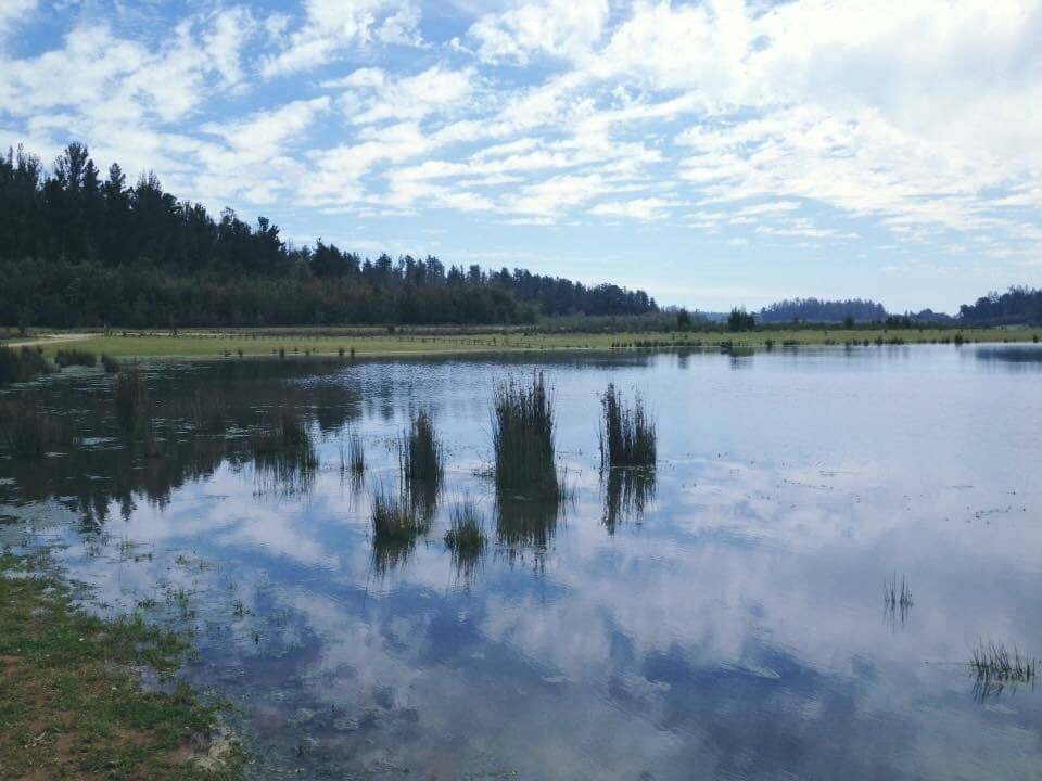 Lago Peñuelas