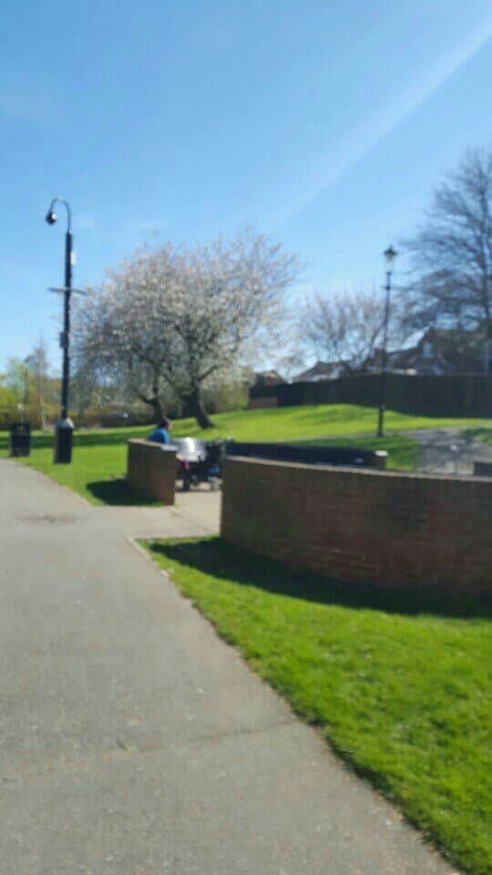 Tema Meridian Monument