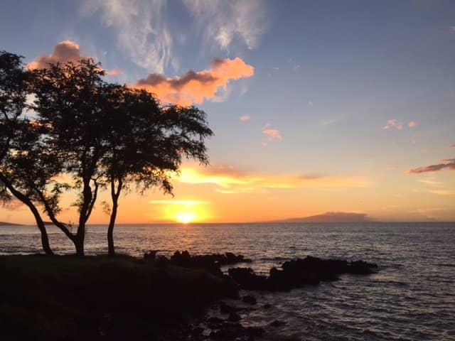 Sunset Views