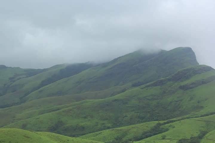 Lush Green Shola Forests