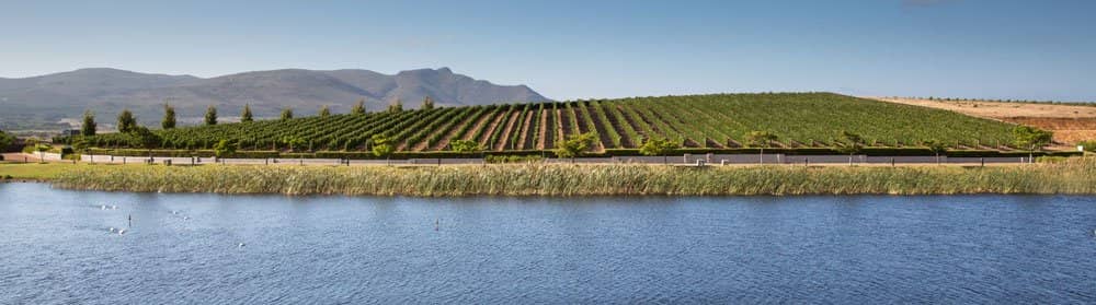 Art Galleries & Gardens