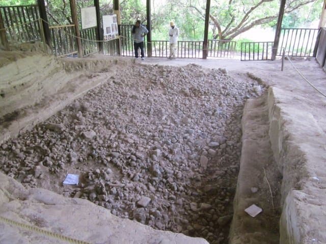 屋外の発掘場所