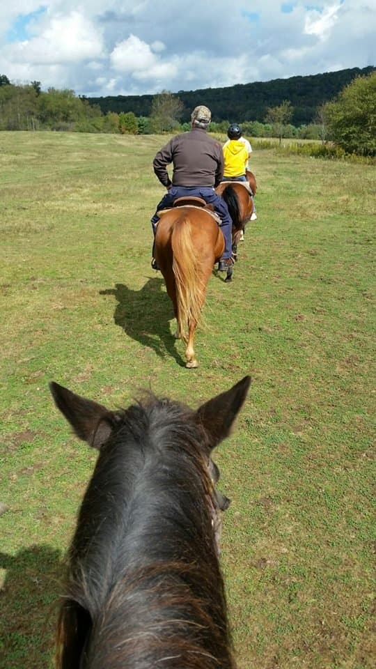 Chehalis Western Trail