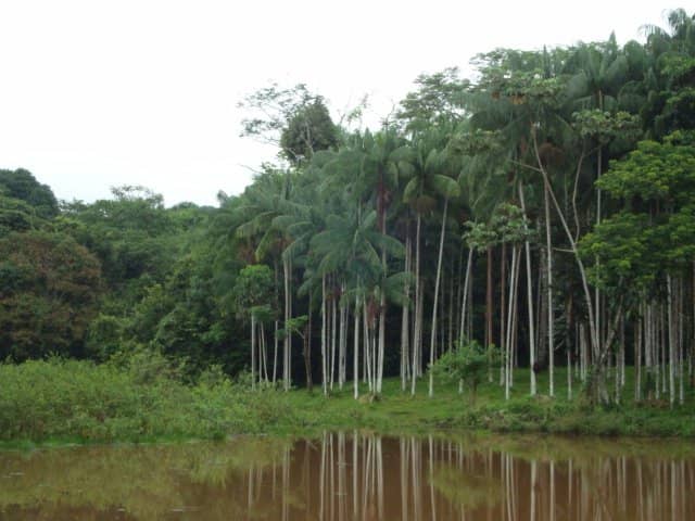 Ecological Trails