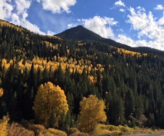 The contrasting colors were beautiful!