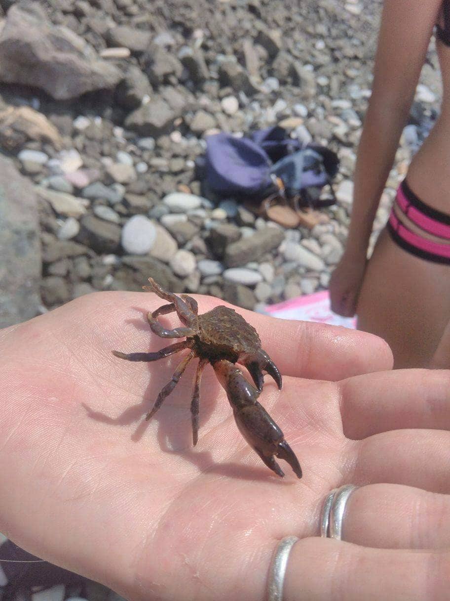 Crystal Clear Waters