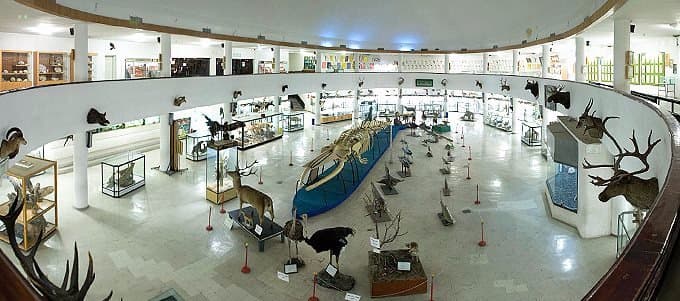 The museum has taxidermy animals, fossils, medicinal plants, geological items and anatomy displa
