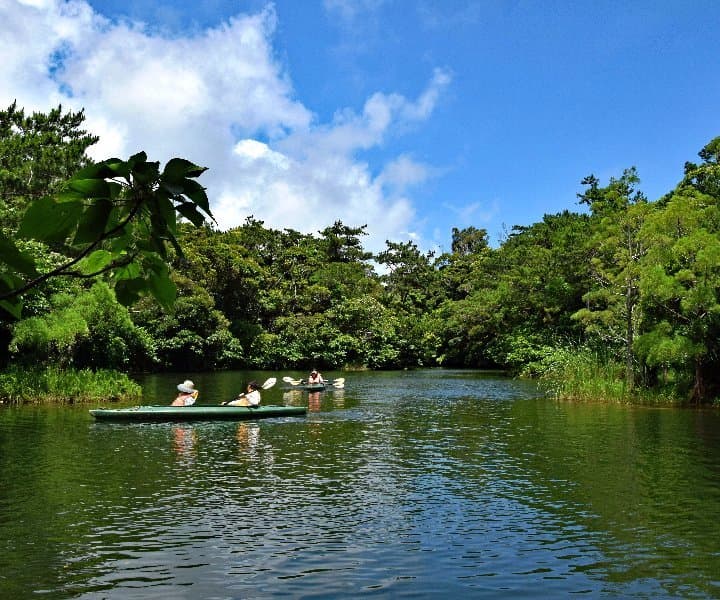 2016ビオスの丘フォトコンテスト・FMうるま賞「五月晴」松川 初子