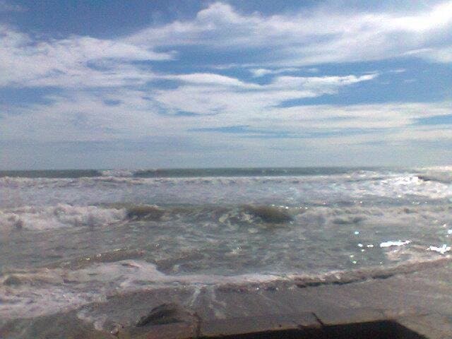 windy