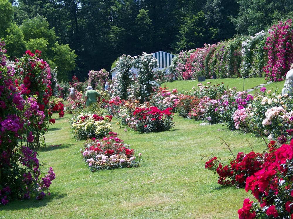The Grand Rosarium