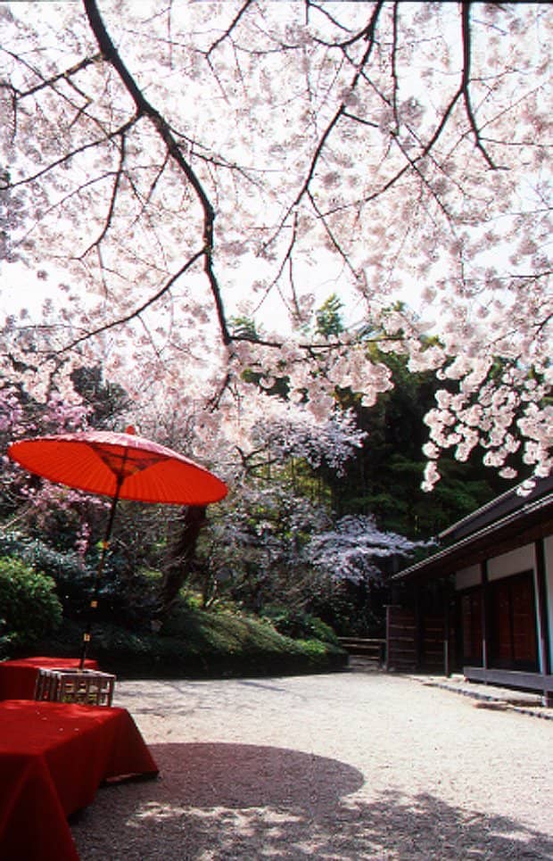 Traditional Japanese Architecture