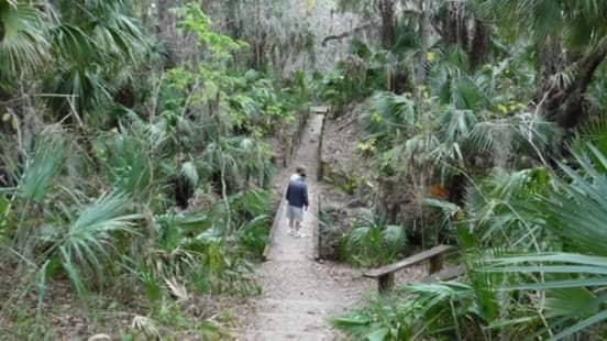 Diverse Trail Network