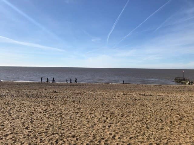 Dog-Friendly North Beach