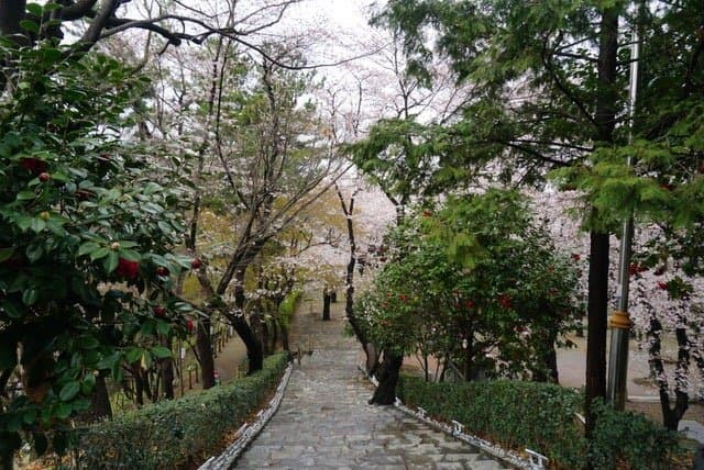 Haksung park