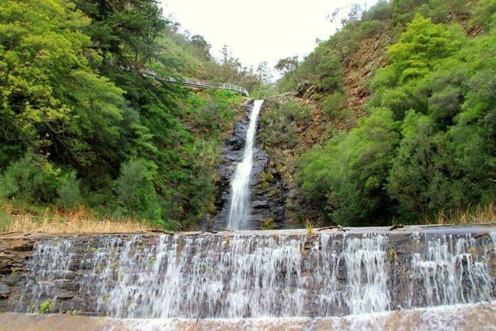 First Falls Waterfall Gully