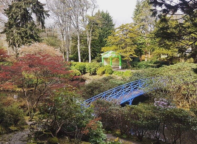 Tranquil Water Features