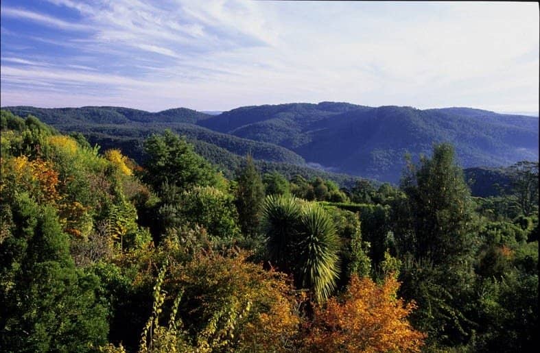 Panoramic Mountain Views