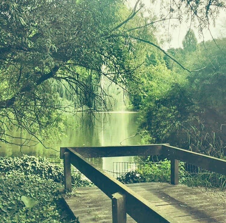 Vertical photo