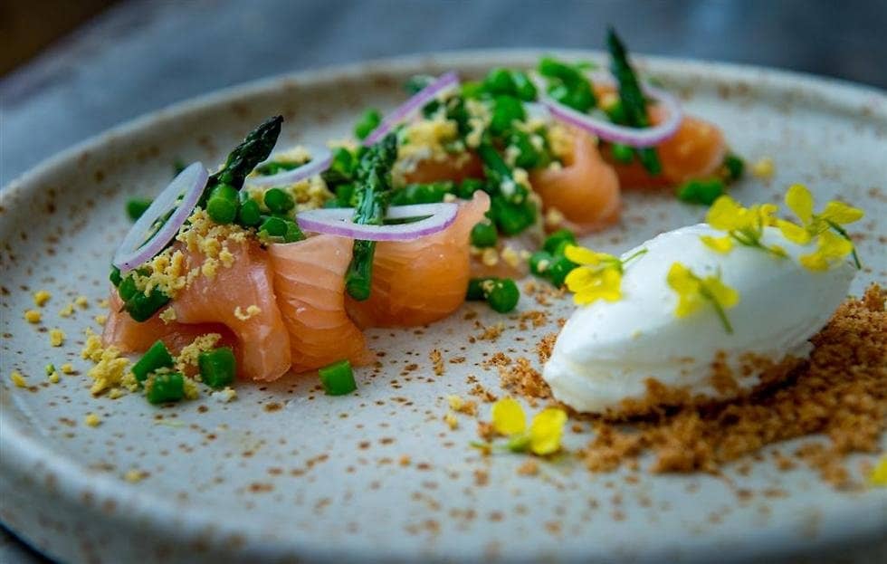 Highlights