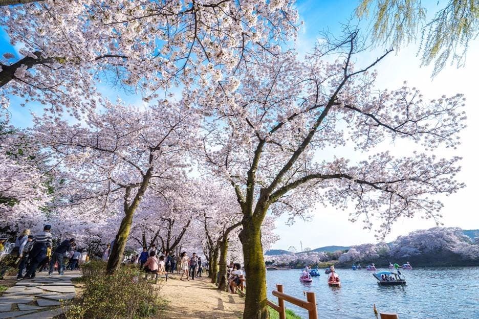 경주 보문단지