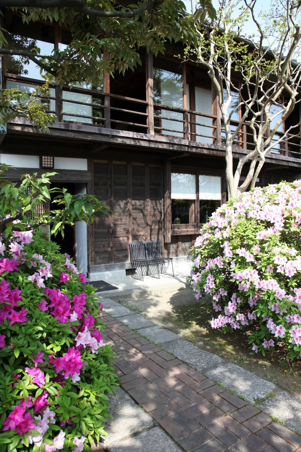 Vibrant Textile Designs