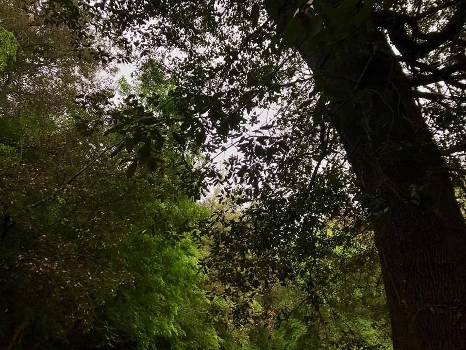 Children's Playground