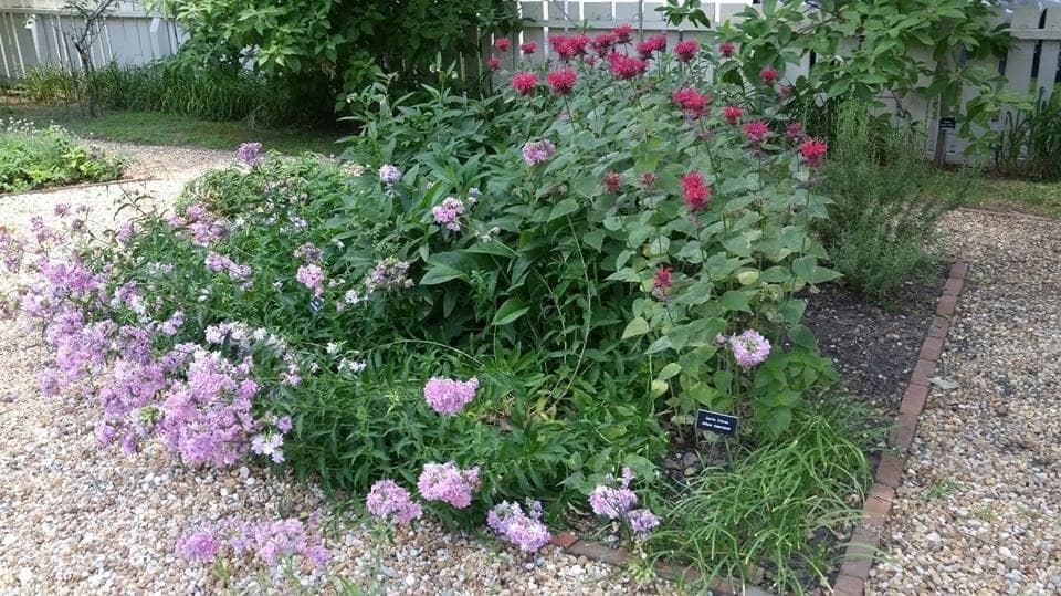 Period Rooms & Artifacts