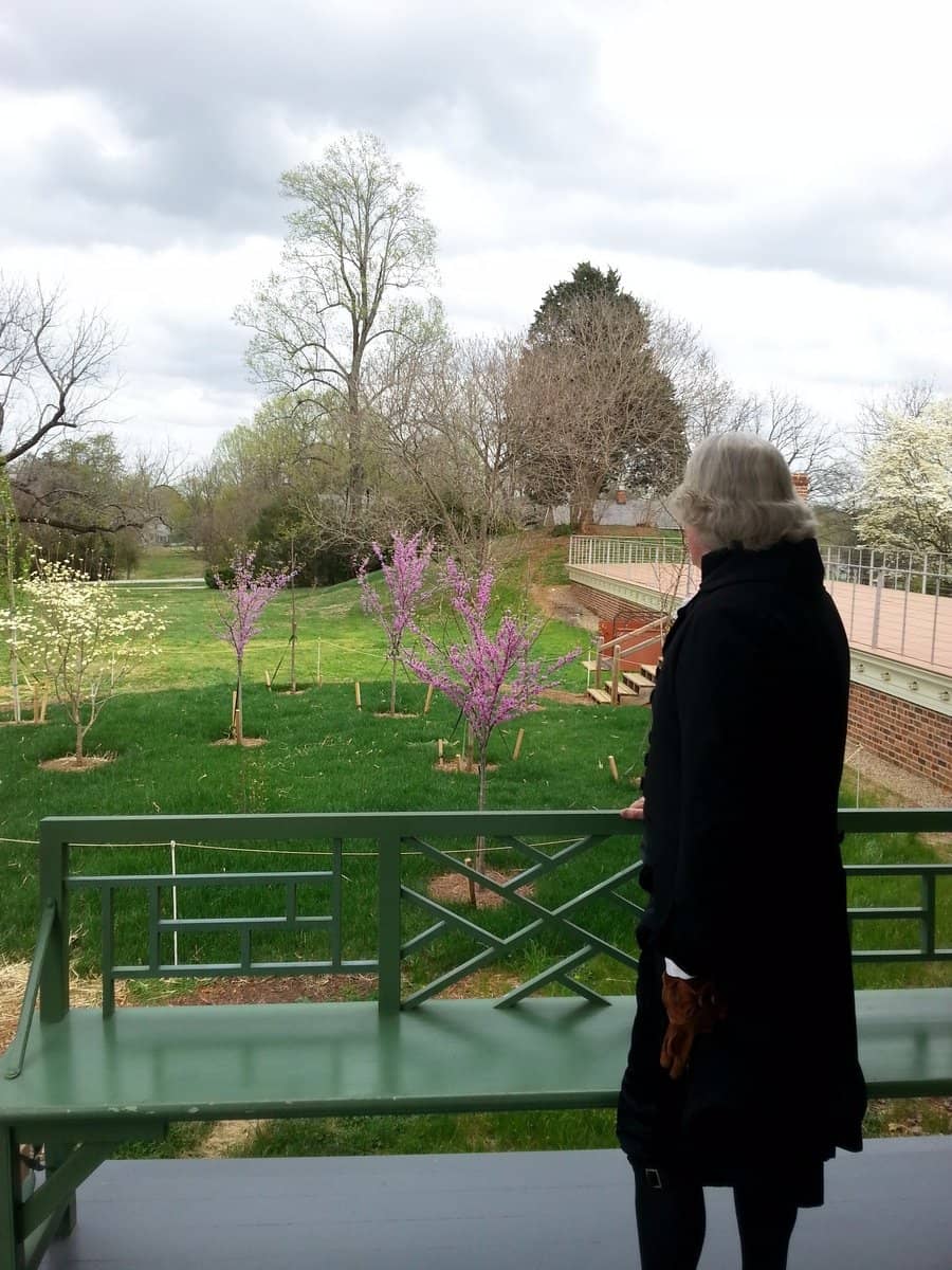 The Restored Wine Cellar