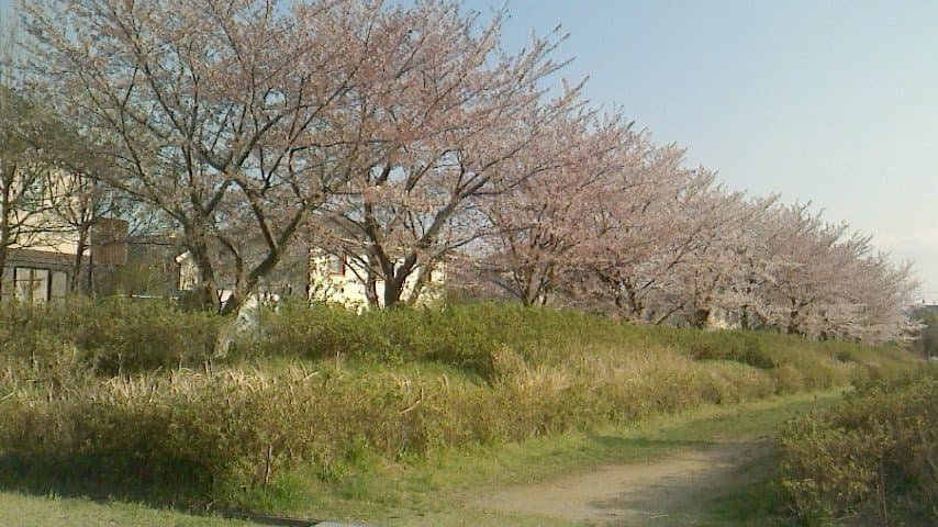 Shijimizuka Ruins and Museum