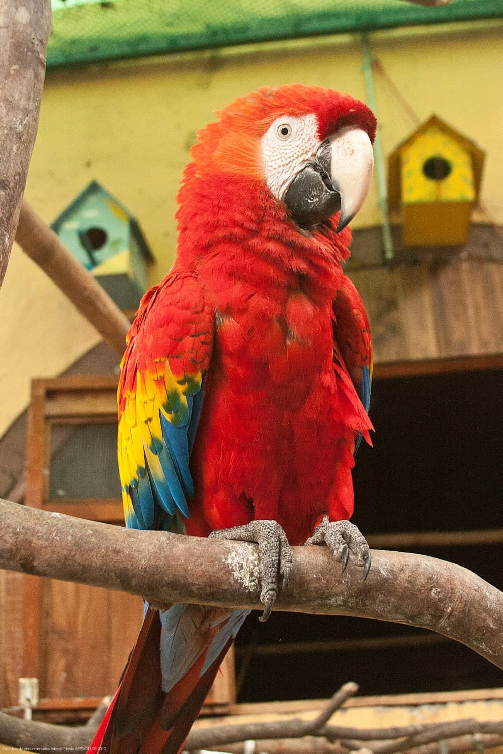 Scenic River Walkways