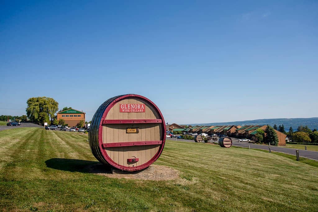 Wine Tasting Experience