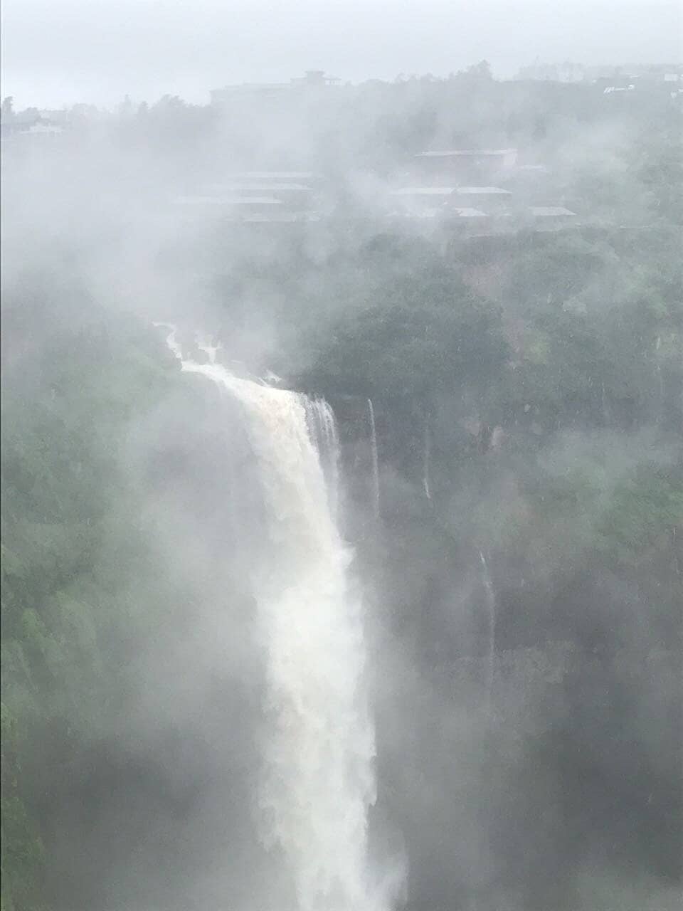 Lush Greenery and Vistas