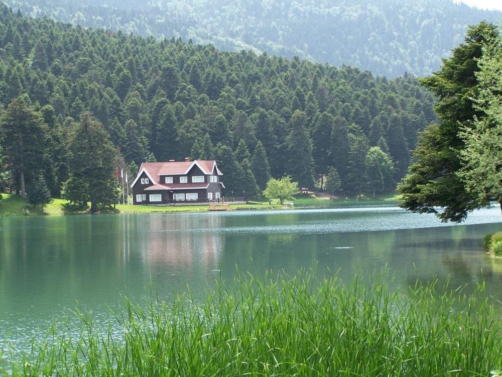 getlstd_property_photo