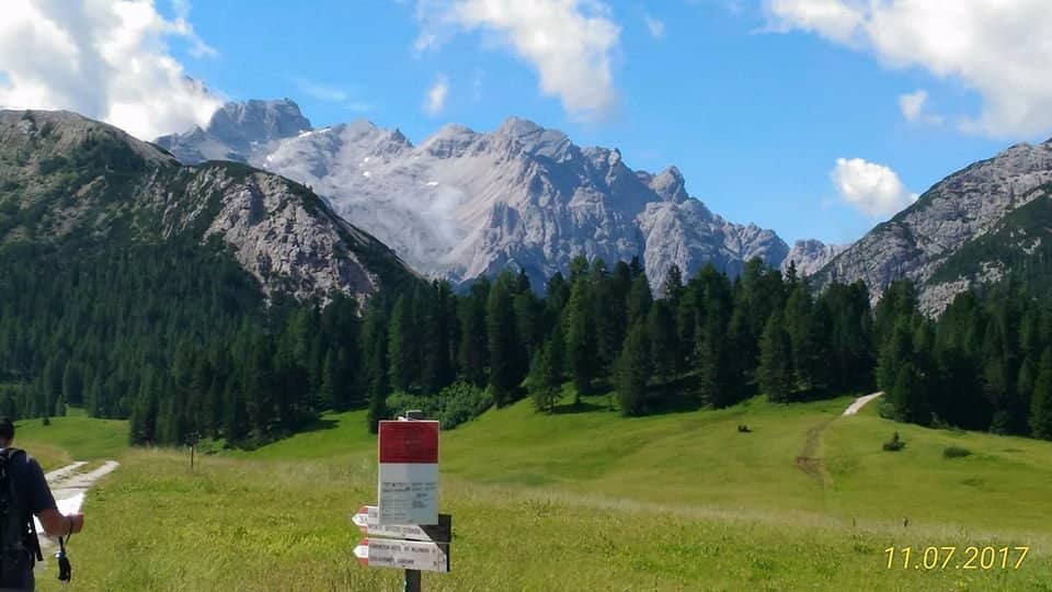 Alpine Pastures & Cows
