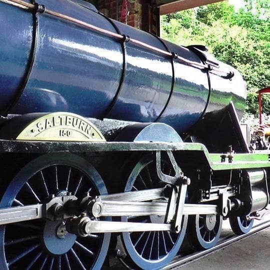 Family Fun & Photo Ops