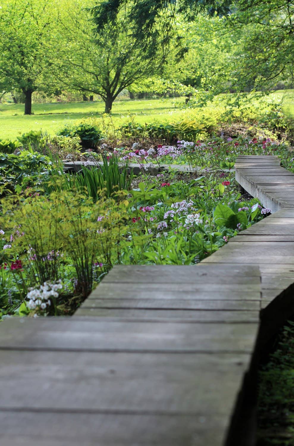 Herb and Perennial Garden
