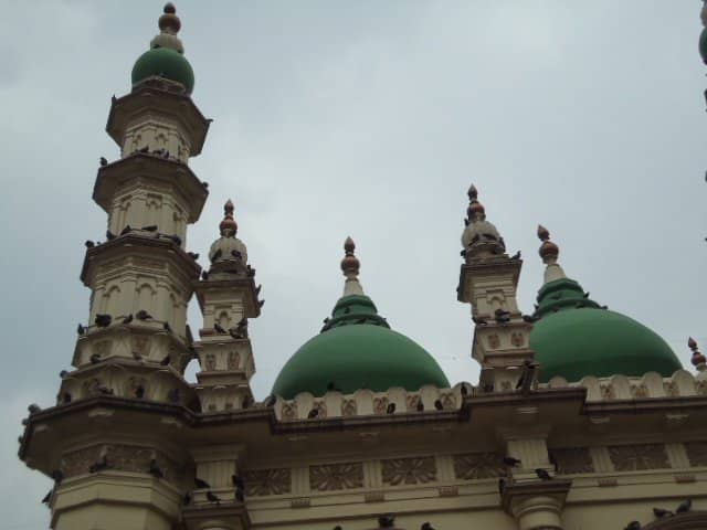 Vertical photo