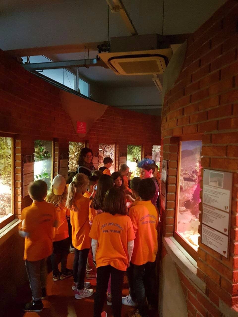 Tropicarium Exhibits