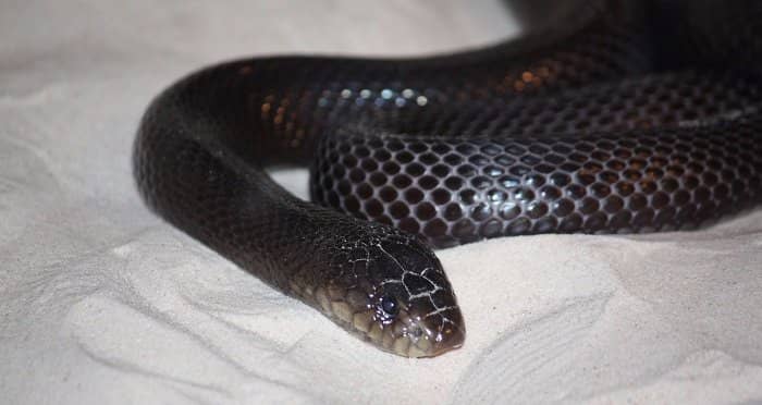 Interactive Kids' Stations